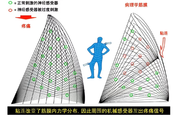 1760323438187694.jpg 1.jpg