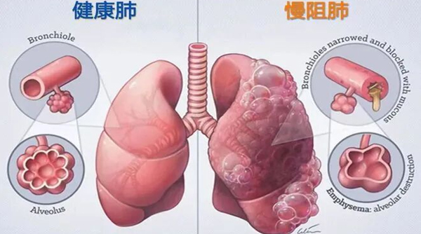 1760340917211354.jpg 1.jpg