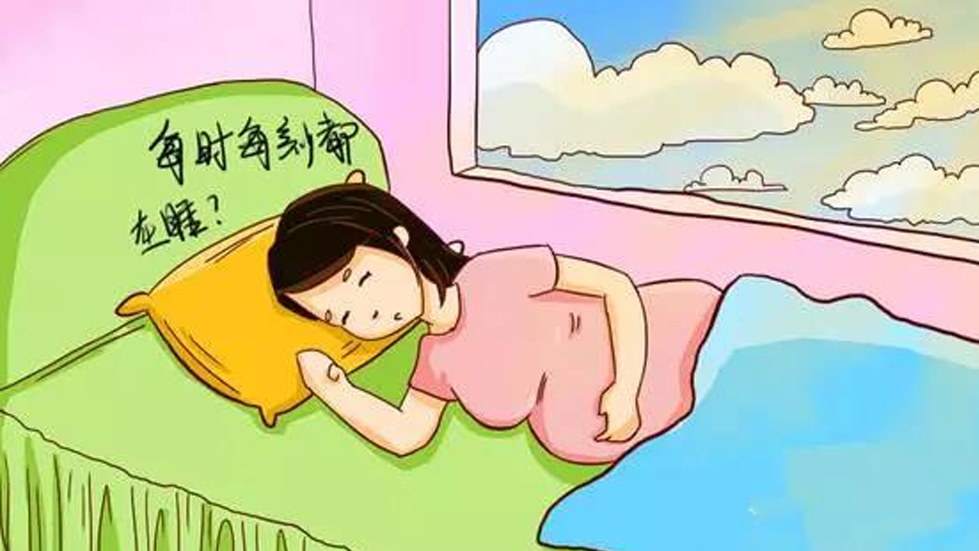1-26-L 拷贝.jpg