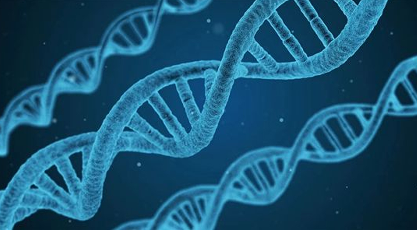 DNA测序打破罕见遗传病诊断速度纪录