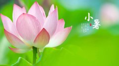 小暑：避暑养阳 健康入伏