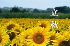 立秋之后如何健康养生