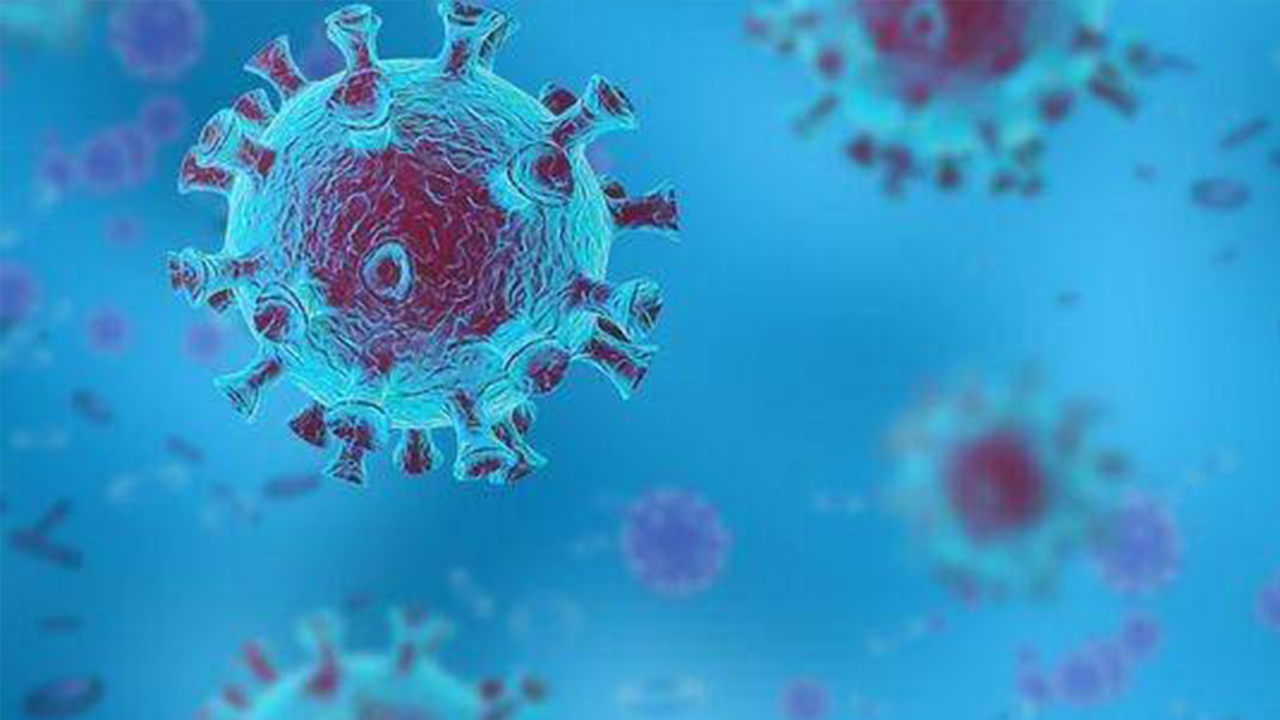 新冠病毒复制重要机制发现