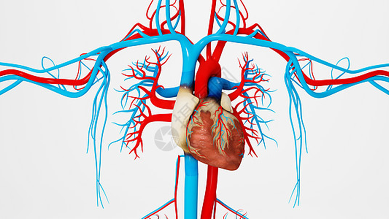 芯片上心脏病”模型可复制心肌梗塞