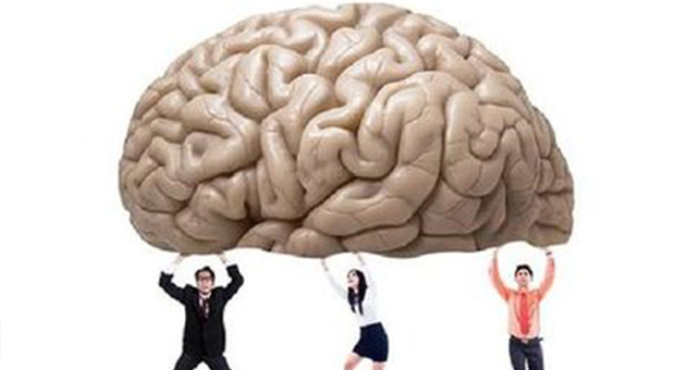 大脑发育图揭示五种疾病根源